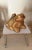 Gold Plated Bronze Frog, Perfect Paperweight or Coffee Table, 2.5” High For Sale - Image 9 of 13