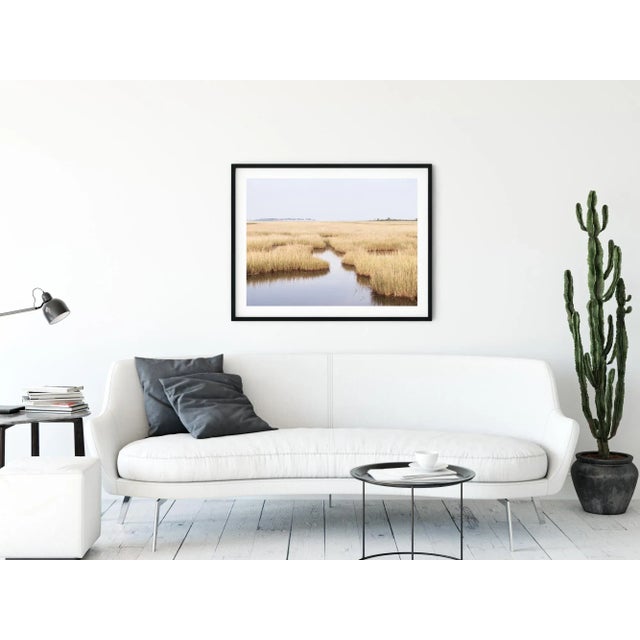 Yellow Contemporary Coastal Landscape, New England Photography Print, 36 X 24" Photograph, Connecticut 'Salt Marsh' For Sale - Image 8 of 8