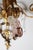 Golden Wall Lights with Pink Glass Fruit from Palwa, 1960s For Sale - Image 16 of 18