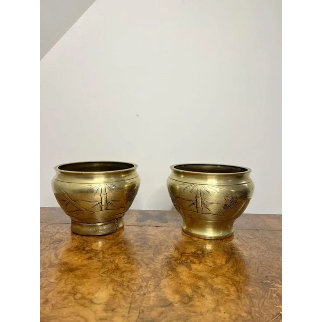 Edwardian Brass Jardinieres, 1900, Set of 2 For Sale - Image 6 of 8