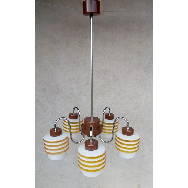 Vintage Type V202-1388 Chandelier from Lidokov, 1960s For Sale - Image 11 of 11