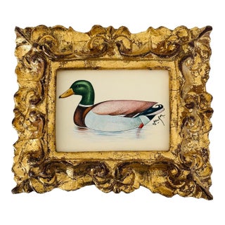 Original Hand-Painted Mallard Miniature Painting in an Italian Vintage Frame For Sale