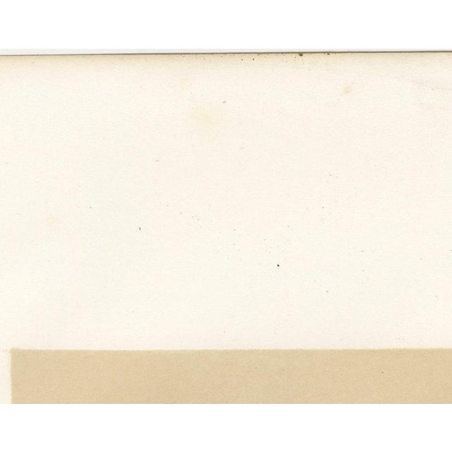 Paper V. Rose, Alfort Veterinary School, 1873, Paper For Sale - Image 7 of 12