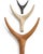 Medium Nguni Head Black Iroko, Animal Head Wall Sculpture, Grey For Sale - Image 4 of 10