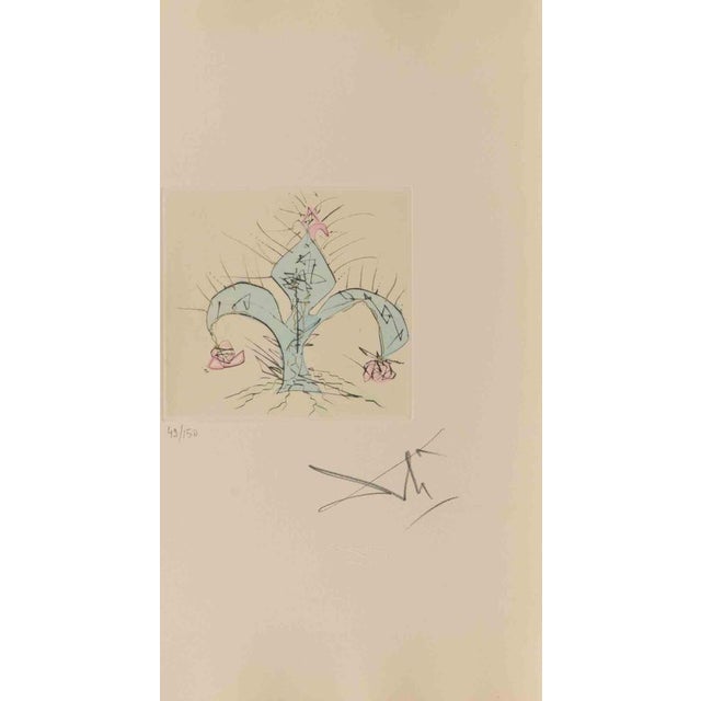Modern Salvador Dali, Fleur en Lys, Etching, 1960s For Sale - Image 3 of 3