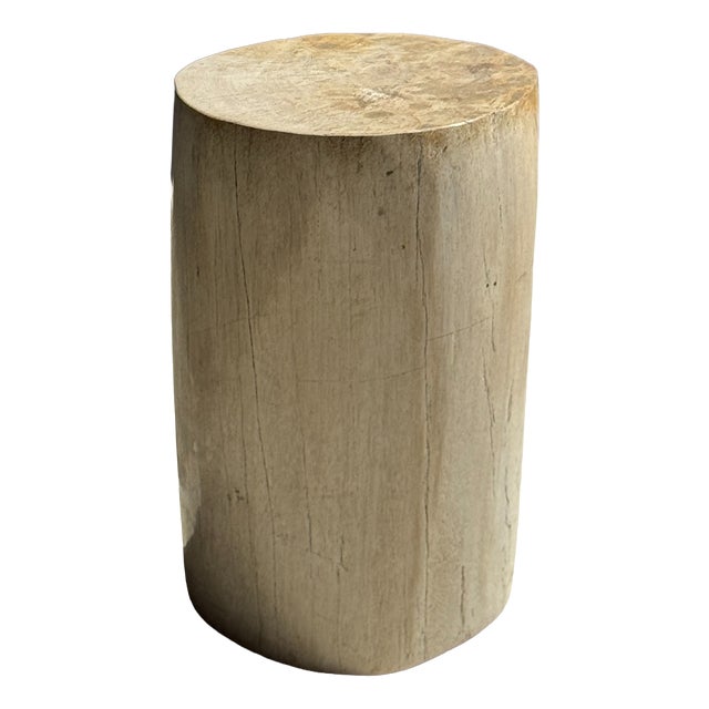 Small Side Table in Speckled White and Beige Petrified Wood, 1980s For Sale