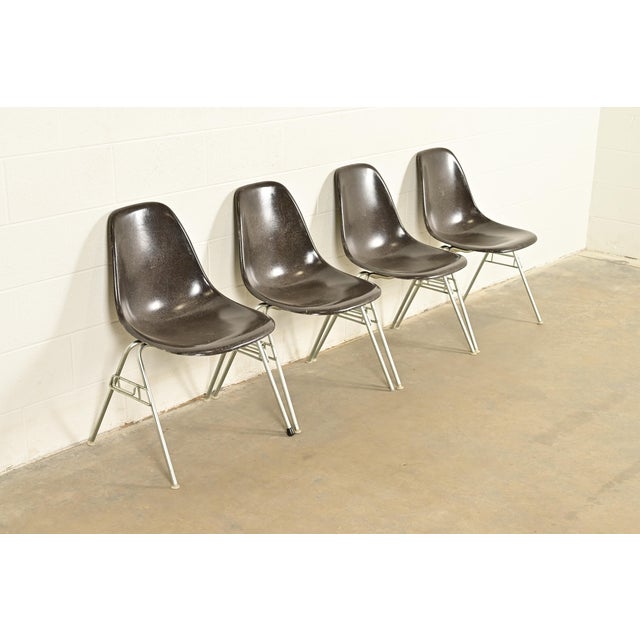 Herman Miller Charles & Ray Eames for Herman Miller DSS Seal Brown Stacking Shell Chairs | Set of Four For Sale - Image 4 of 15