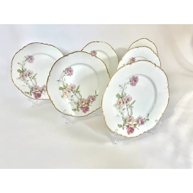 Baltimore Rose Dinner Plates from Haviland Limoges, 1888, Set of 6 For Sale - Image 3 of 12