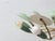 This mid-century chandelier dates from the 1950s and is designed in the style of Italian Stilnovo lighting. The lamp...