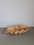Vintage Handmade Carved Wooden Seashell Bowl, 1960s For Sale - Image 9 of 13
