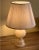 Vintage French Table Lamp in Alabaster, 1950s For Sale - Image 3 of 9