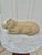 Decorate a kitchen counter or a patio with this adorable concrete pig. Made of concrete, the pig has a rich weathered...