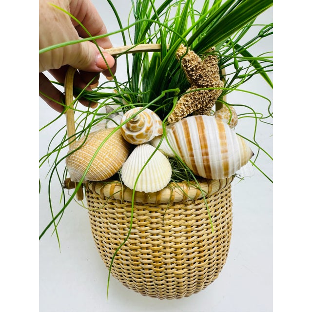 Tan Nantucket Basket Filled With Shells For Sale - Image 8 of 10