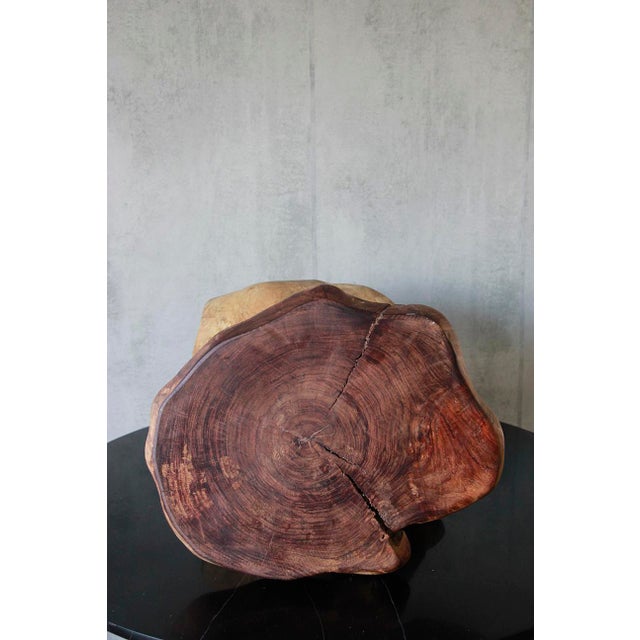 Wood Late 20th Century Natural Tree Stump Side Table Made From Solid Cedar Roots. For Sale - Image 7 of 7