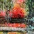 "Autumn in Giverny" Framed Contemporary Expressionist Style Landscape Acrylic Painting For Sale - Image 12 of 12