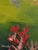 Spotted Horse Landscape, Equestrian Horse Oil Painting by Alexandra Swistak For Sale - Image 6 of 15