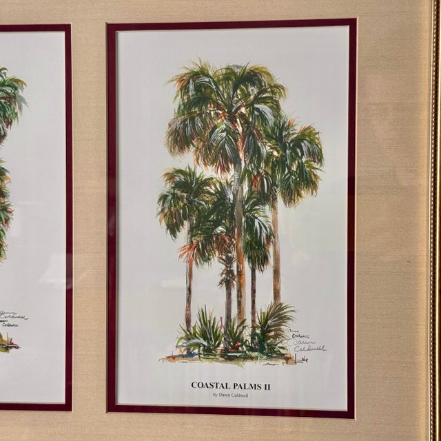 Early 21st Century Coastal Palms by Dawn Caldwell Print For Sale - Image 5 of 8