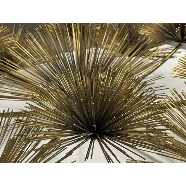 Curtis Jere Vintage Brass Sea Urchin/Dandelion Wall Sculpture For Sale - Image 11 of 13