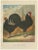 The Sleek Black Hamburg Chicken, 1888, Lithograph For Sale - Image 10 of 10