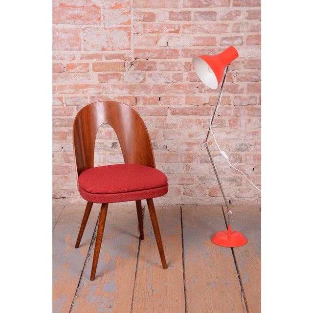 Mid-Century Chrome Floor Lamp by J. Hůrka for NAPAKO, Czech, 1950s For Sale - Image 12 of 13