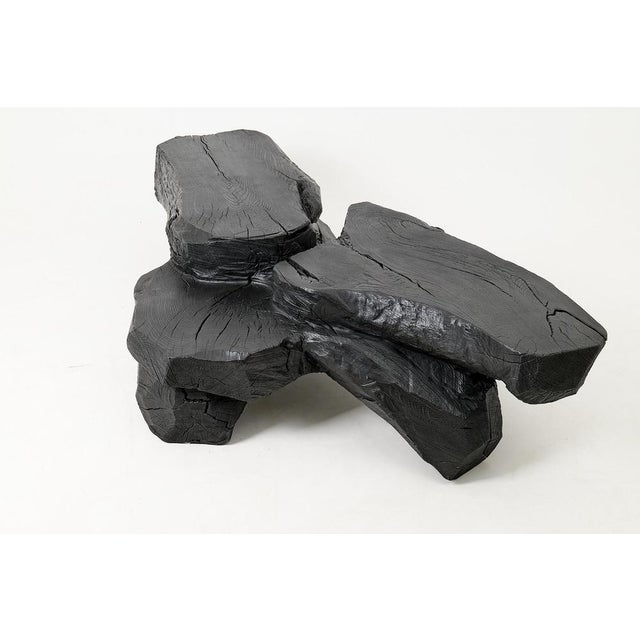 Sculptural Rustic Coffee Table in Burnt Black Wood by Logniture For Sale - Image 4 of 18