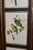 Victorian Screen with Birds and Roses, 1940s For Sale - Image 8 of 18