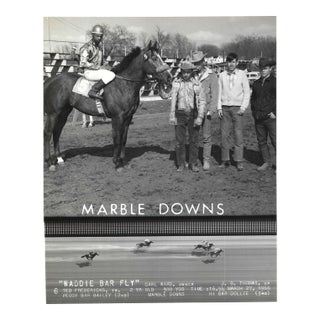 1966 Winner's Circle Photograph of Maddie Bar Fly at Marble Downs For Sale