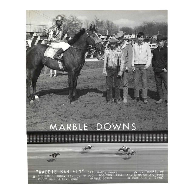 1966 Winner's Circle Photograph of Maddie Bar Fly at Marble Downs For Sale