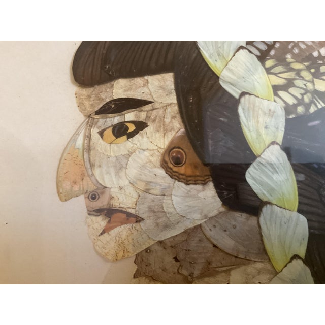 Vintage Butterfly Wing Portrait in Wooden Frame For Sale - Image 4 of 8