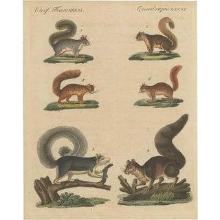 Vierf, 1800, Engraving on Paper For Sale