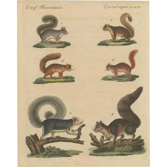 Vierf, 1800, Engraving on Paper For Sale