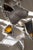 Contemporary Looking Up in the Attic Candleholder in Glass by Vincent Decat For Sale - Image 3 of 8