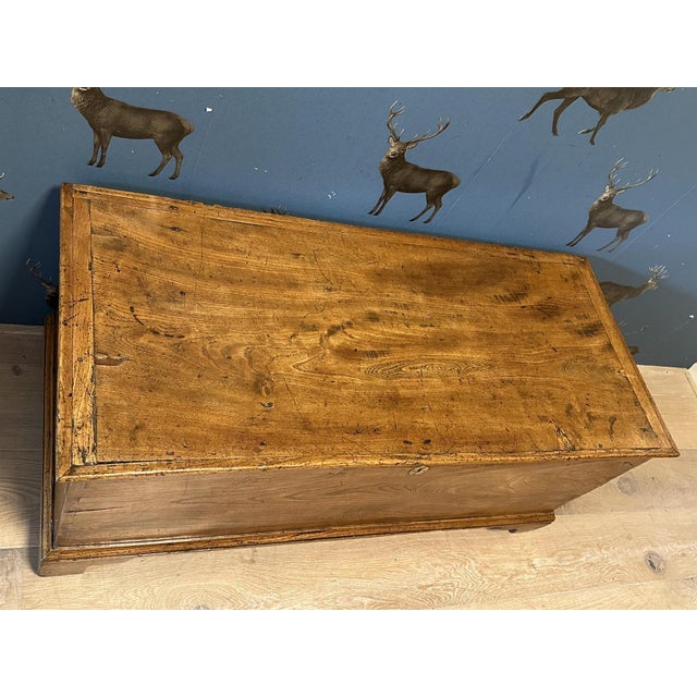 18th Century Elm Trunk For Sale - Image 6 of 9