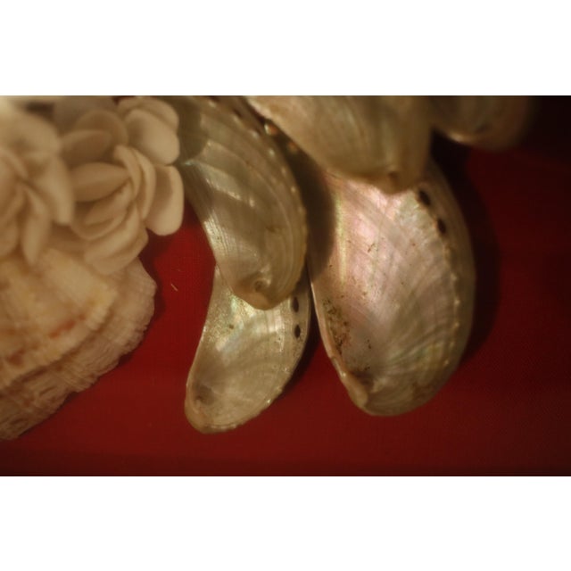 Mid Century Sailor's Valentine Shell Bouquet With Carved Wood Shadow Box Frame For Sale - Image 14 of 15
