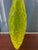 2000 - 2009 Large Hand-Blown Vase by Renowned Glass Artists Edols & Elliot, Signed For Sale - Image 5 of 7