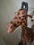 African Late 20th Century Oversized Handcrafted Leather Giraffe Sculpture For Sale - Image 3 of 6