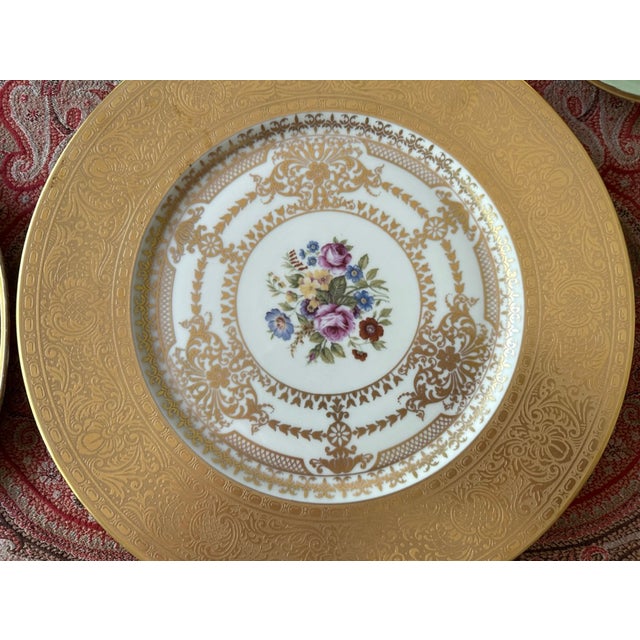 1920s Czechoslovakian Six Gold Encrusted Porcelain Plates | Antique Dinner Plates I Bohemian I Housewarming I Art Deco I Gold Gilded Border For Sale - Image 9 of 14