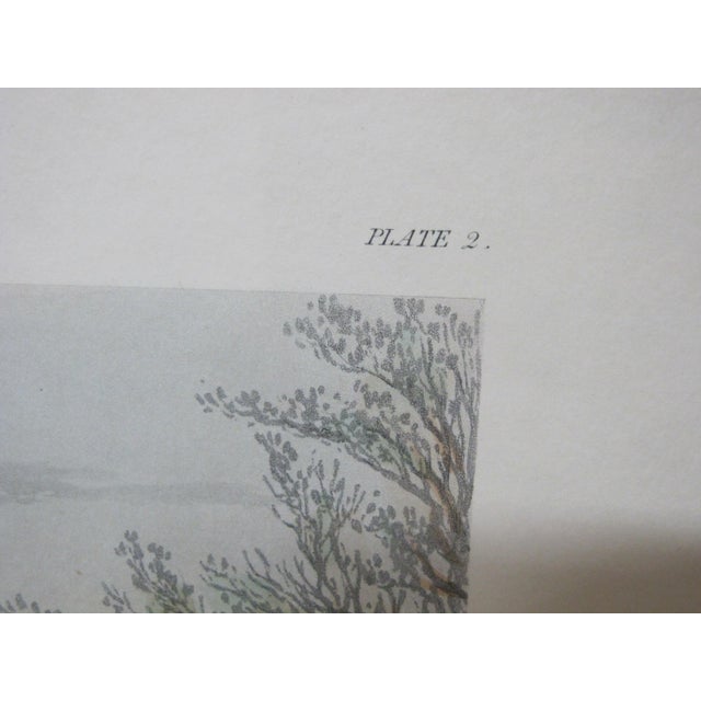 Henry Alken Fores Hunting Sketches Plate 2 Right & Wrong Sort Harris Engraving For Sale - Image 11 of 13