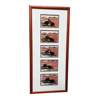 Hawaiian Nature Photographic Silver Print Set Titled "Mea'ai" by Michael Lemes For Sale