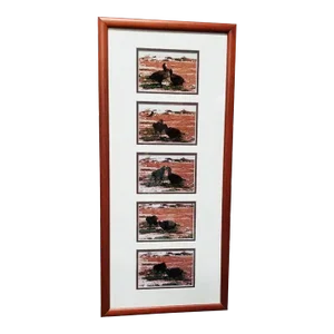 Hawaiian Nature Photographic Silver Print Set Titled "Mea'ai" by Michael Lemes