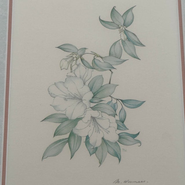 Margot Weemaes 1981 Rhododendron Fragrantissimum Botanical Portfolio Print For Sale - Image 4 of 11
