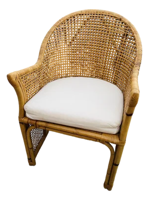 Vintage Coastal Woven Rattan Barrel Dinning Chair