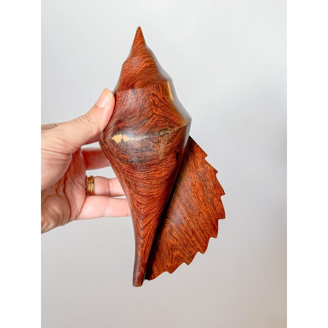 Vintage Large Carved Ironwood Conch Shell Sculpture Objects, a Pair For Sale In Dallas - Image 6 of 16