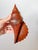 Vintage Large Carved Ironwood Conch Shell Sculpture Objects, a Pair For Sale In Dallas - Image 6 of 16
