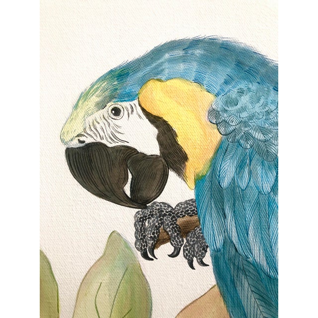 Textile "Forever and a Day" Parrot Bird Macaw Painting in the Chinoiserie Style by Allison Cosmos For Sale - Image 7 of 7