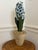 Early 21st Century Tommy Mitchell Tole Potted Hyacinth. For Sale - Image 5 of 12