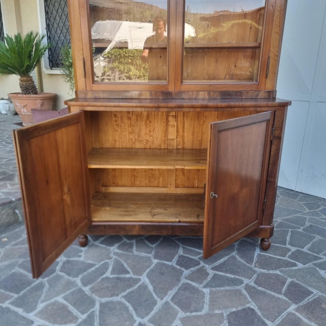 Wood Antique Display Cabinet in Walnut, 1820 For Sale - Image 7 of 14