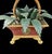 Vintage Tole Metal Palm Leaf Faux Bamboo Cache Pot Regency Wicker Shade Table Lamp For Sale In West Palm - Image 6 of 9
