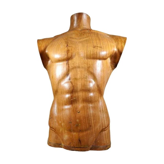 French Wooden Male Torso, 1950s For Sale - Image 4 of 13