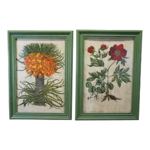 Set of 2 Hand Painted Old World Floral Botanical Paintings After Basilius Besler 57"